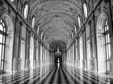 venaria-2949960_640.jpg